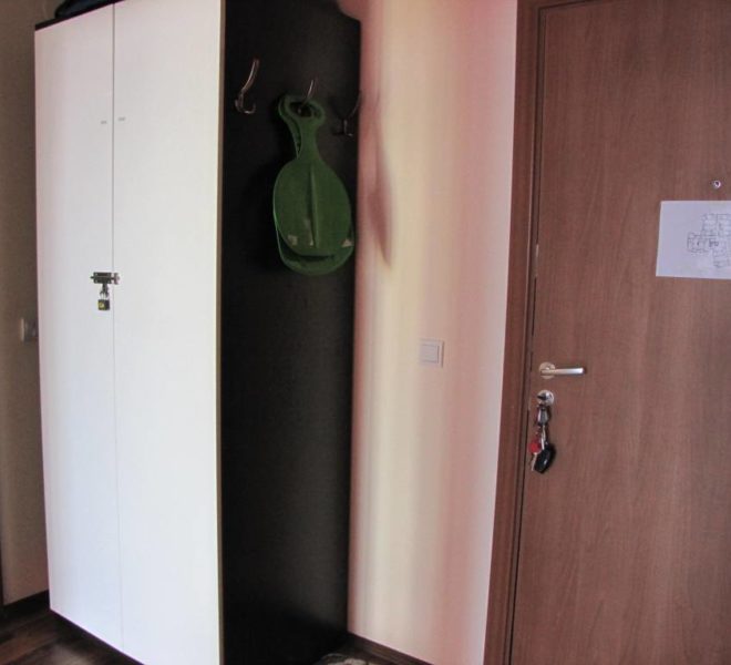 PBA1107 1 bed apartment for sale in Bansko