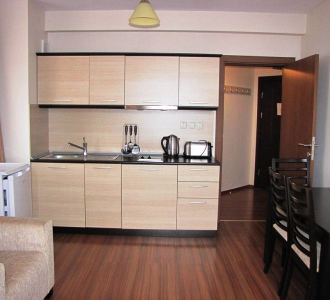 PBA1169 1 bedroom apartment for sale in Regnum 5* Aparthotel Bansko
