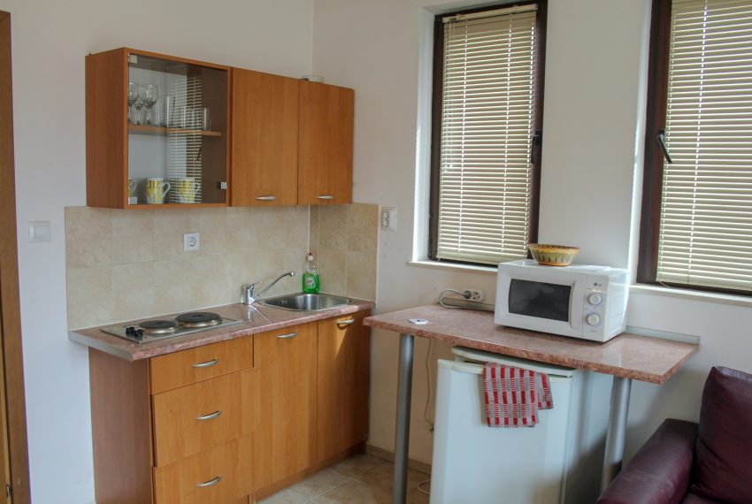 1 bedroom apartment with a garage in Bansko
