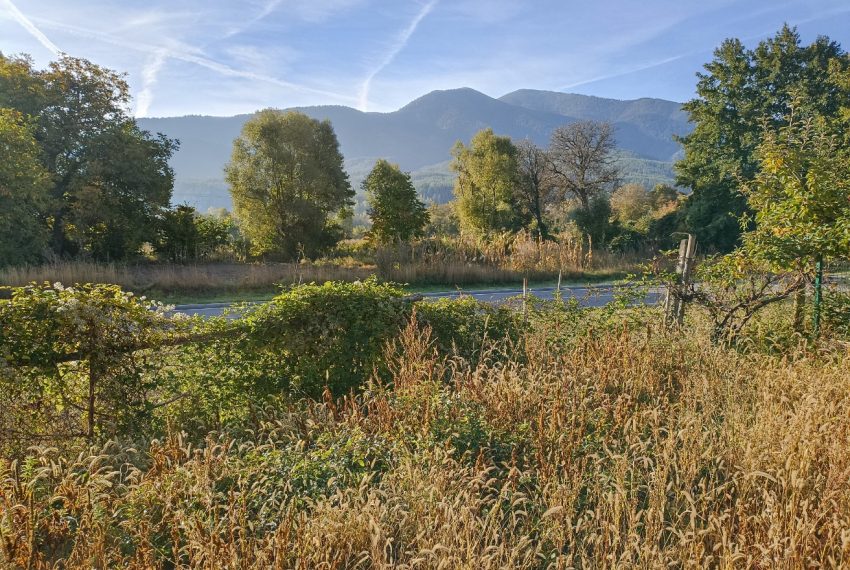 PBL1419 Regulated land plot for sale in Bansko