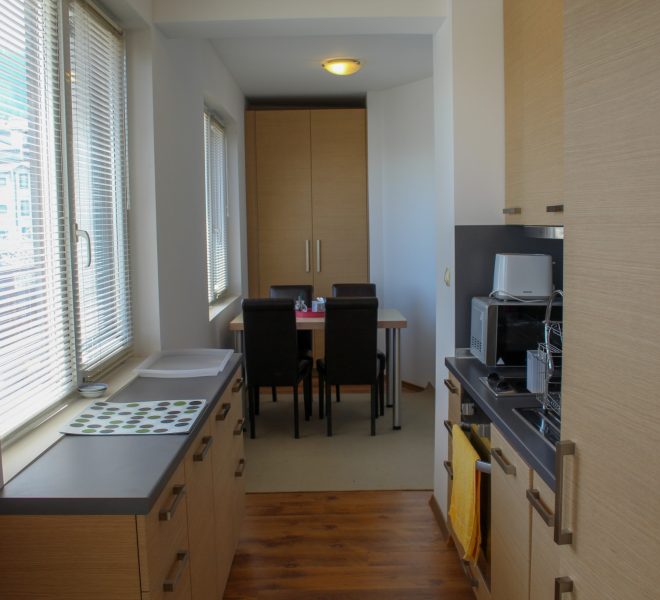 PBA1453 1 bedroom apartment for sale in Detelina Residence, Bansko
