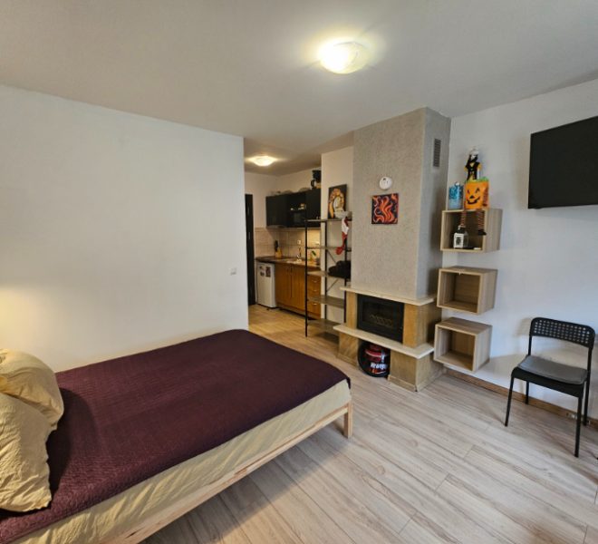 202PBA1580 studio for sale in Maria Antoaneta Residence Bansko50512_143414