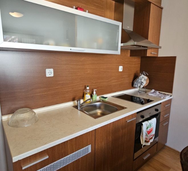 PBA1594 1 bedroom apartment for sale in Pirin River Ski, Bansko