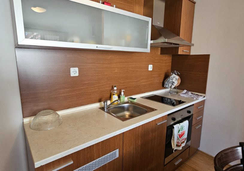 PBA1594 1 bedroom apartment for sale in Pirin River Ski, Bansko