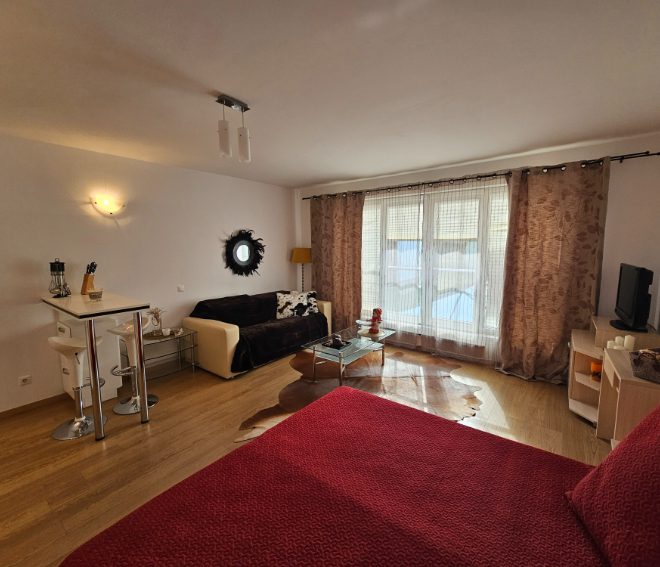 PBA1599 studio apartment for sale in St George Palace, Bansko