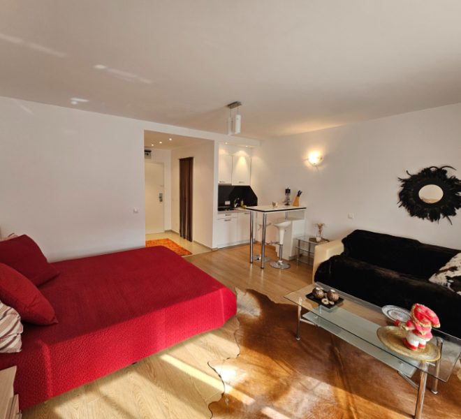 PBA1599 studio apartment for sale in St George Palace, Bansko