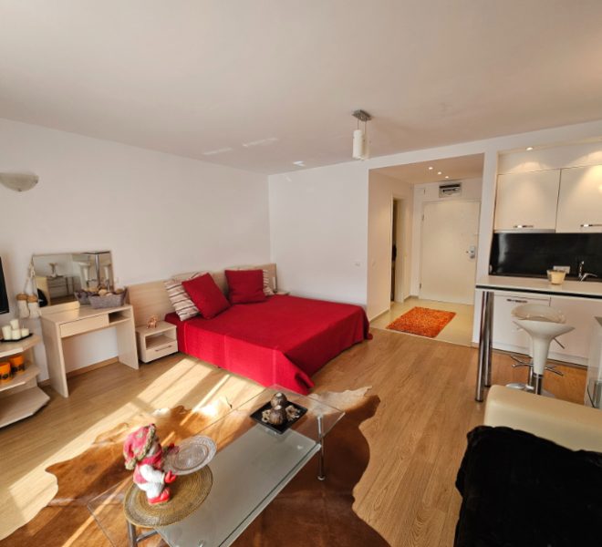 PBA1599 studio apartment for sale in St George Palace, Bansko