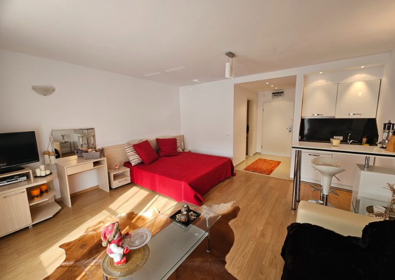 PBA1599 studio apartment for sale in St George Palace, Bansko