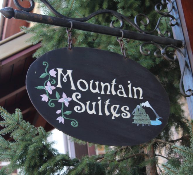 PBA1603 2 bedroom apartment for sale in Mountain Suites, Bansko