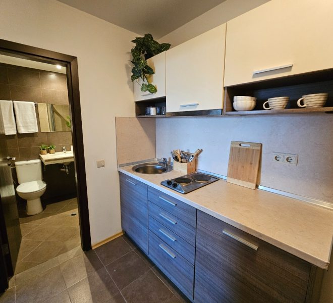 studio apartment for sale in Mountain Paradise by the Walnut Tree, Bansko