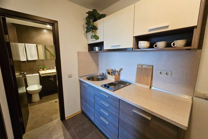 studio apartment for sale in Mountain Paradise by the Walnut Tree, Bansko