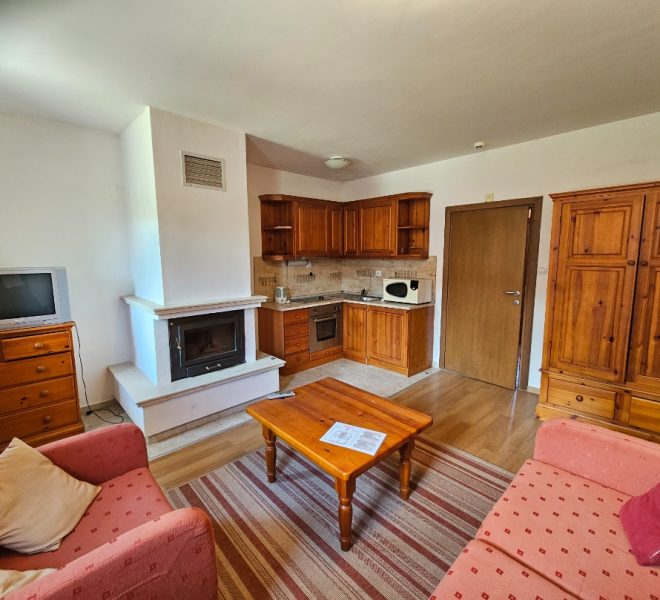 PBA1638 1 bedroom apartment for sale in Bansko