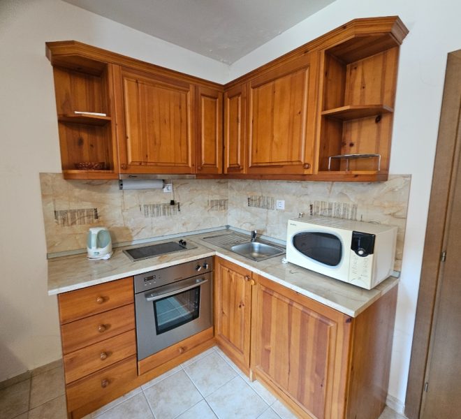 PBA1638 1 bedroom apartment for sale in Bansko