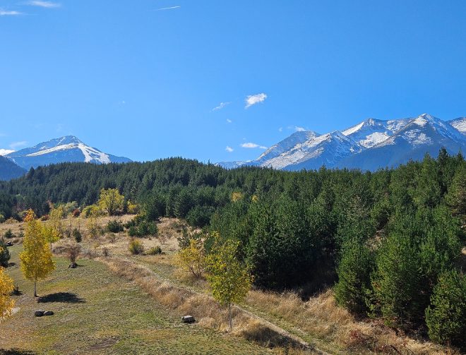 1 bedroom apartment for sale in St John Hill in Bansko